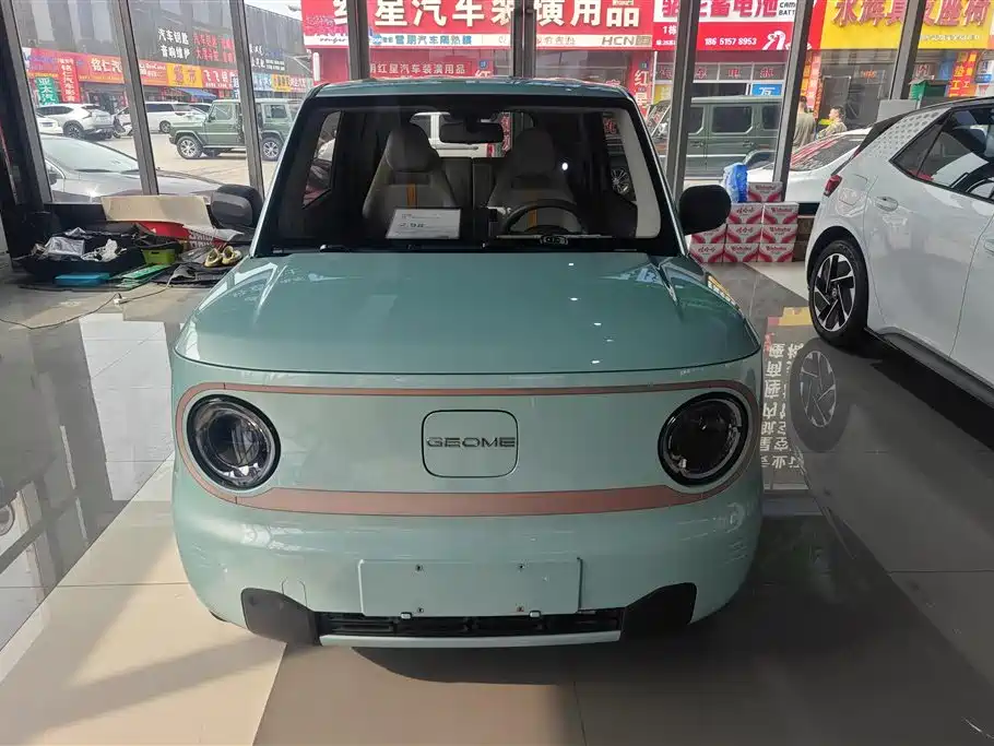 Geely Galaxy Panda 2023 Panda Mini 200km Endurance Bear фото 2