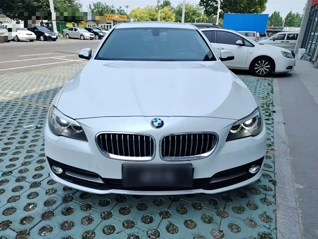 BMW 5 Series 2014 520Li Elegance фото 3