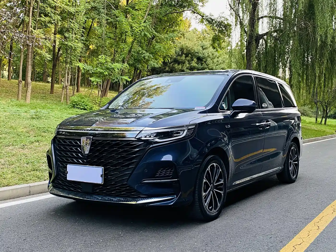 Roewe iMAX8 2021 2022 400TGI Honor Edition