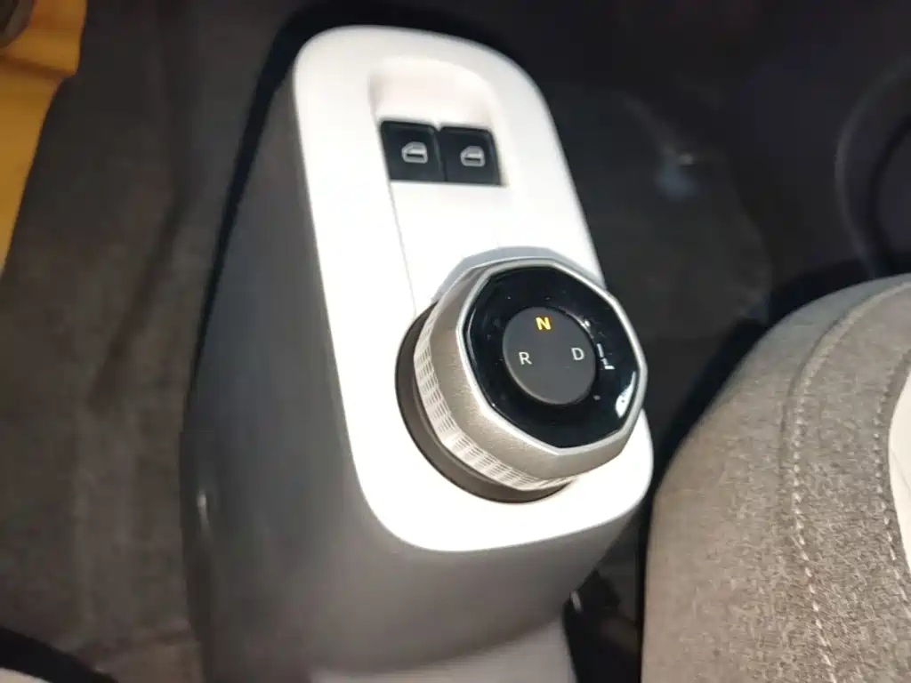 Geely Galaxy Panda 2025 2025 Panda mini 210km Vitality Bear