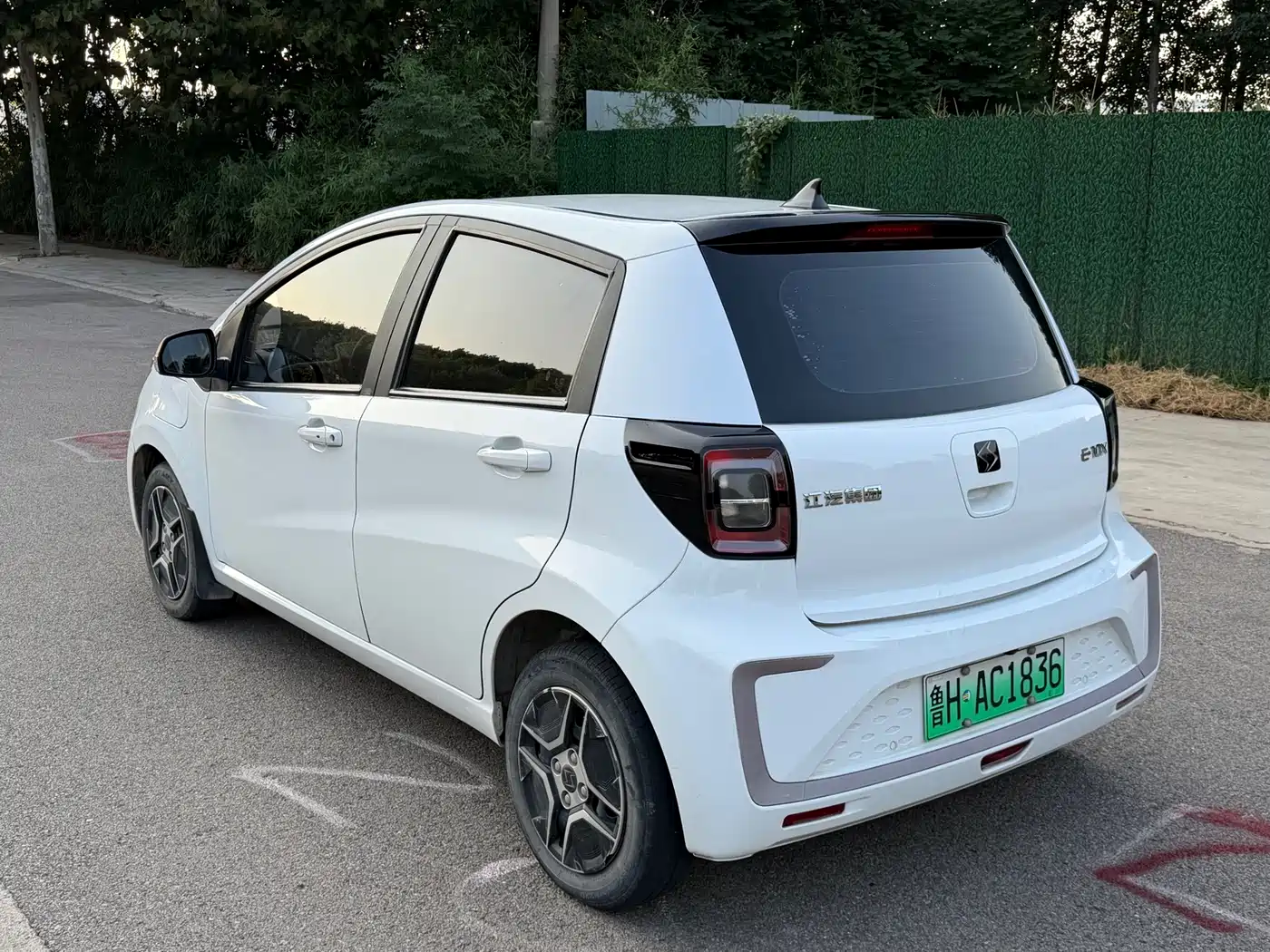 Sehol Flower Fairy 2021 2021 302km Luxury 30.2kWh