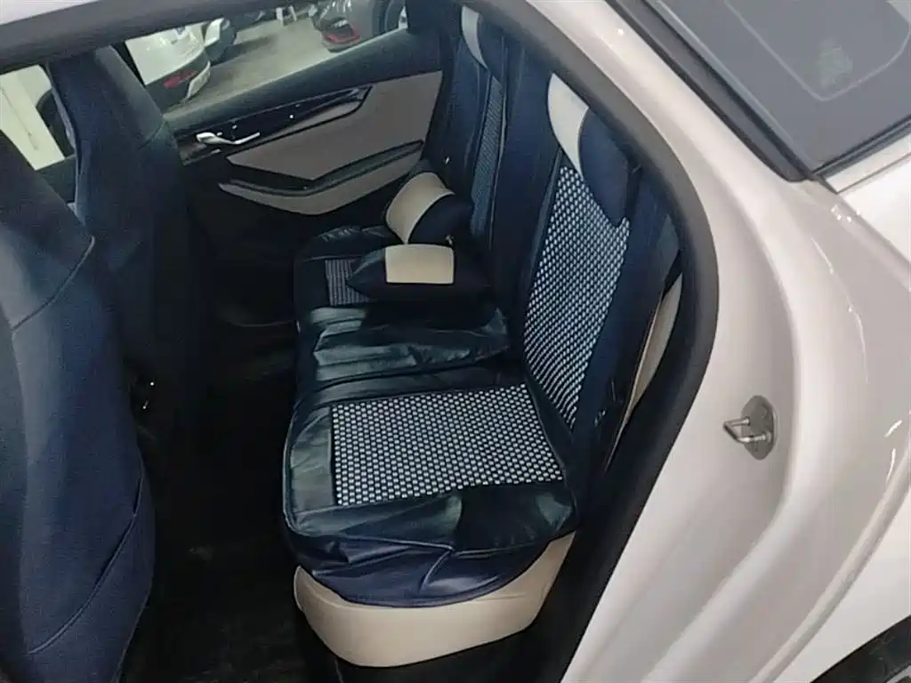 BYD Qin PLUS 2021 DM-i 120KM Flagship фото 17