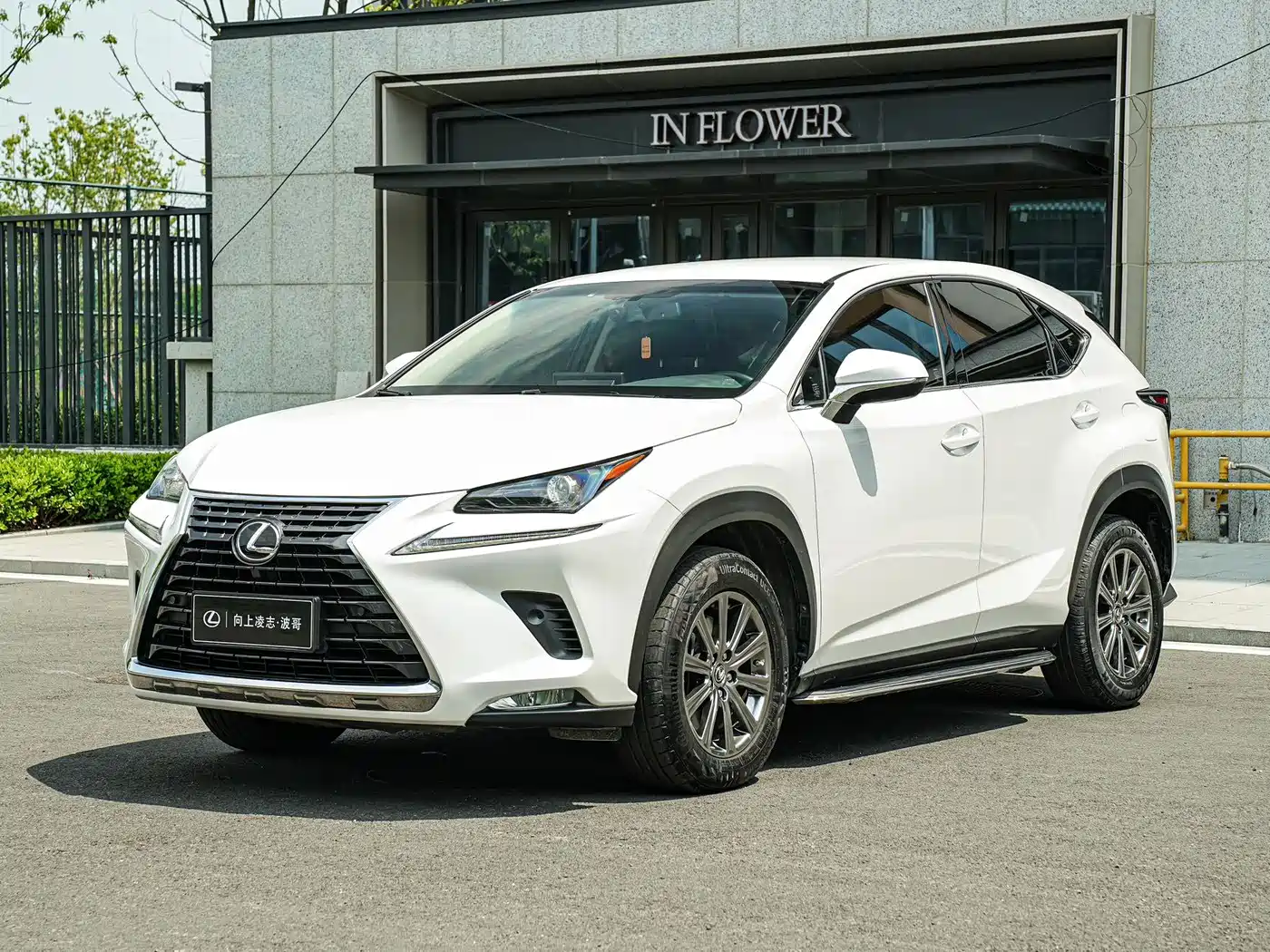 Lexus NX 2018 Model 300 FWD Fengxing Edition