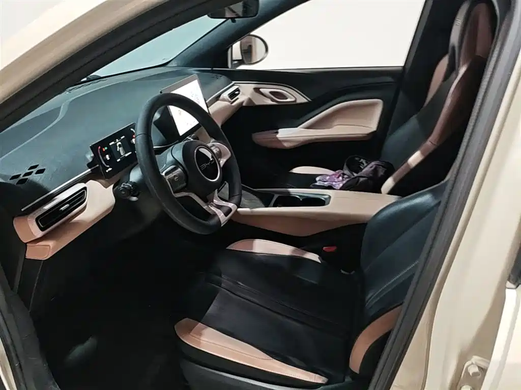 BYD Seagull 2023 Vitality Edition фото 15