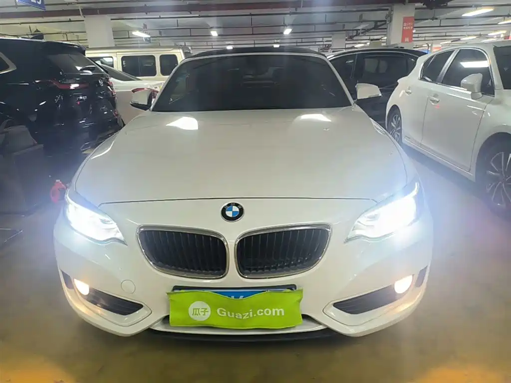 BMW 2 Series (Import) 2015 218i Convertible Coupe фото 3
