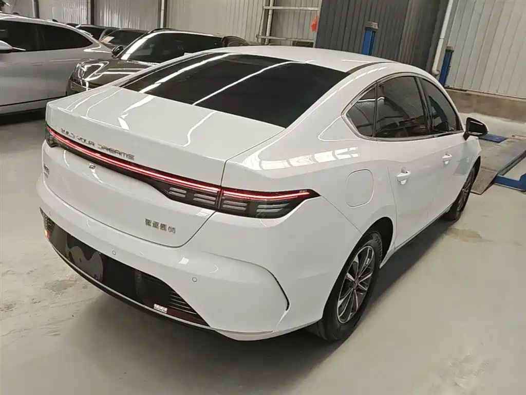 BYD Destroyer 05 2024 Glory Edition DM-i 55KM Luxury фото 7