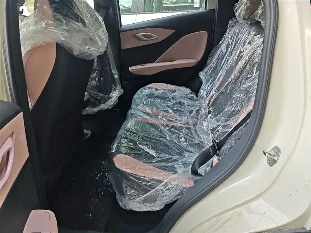 BYD Seagull 2025 Smart Drive Edition 305km Vitality Version фото 17