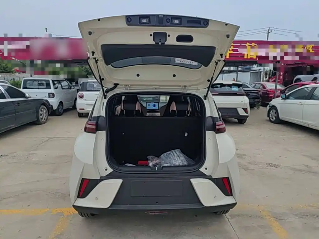 BYD Seagull 2026 2025 Smart Drive Edition 305km Vitality Version