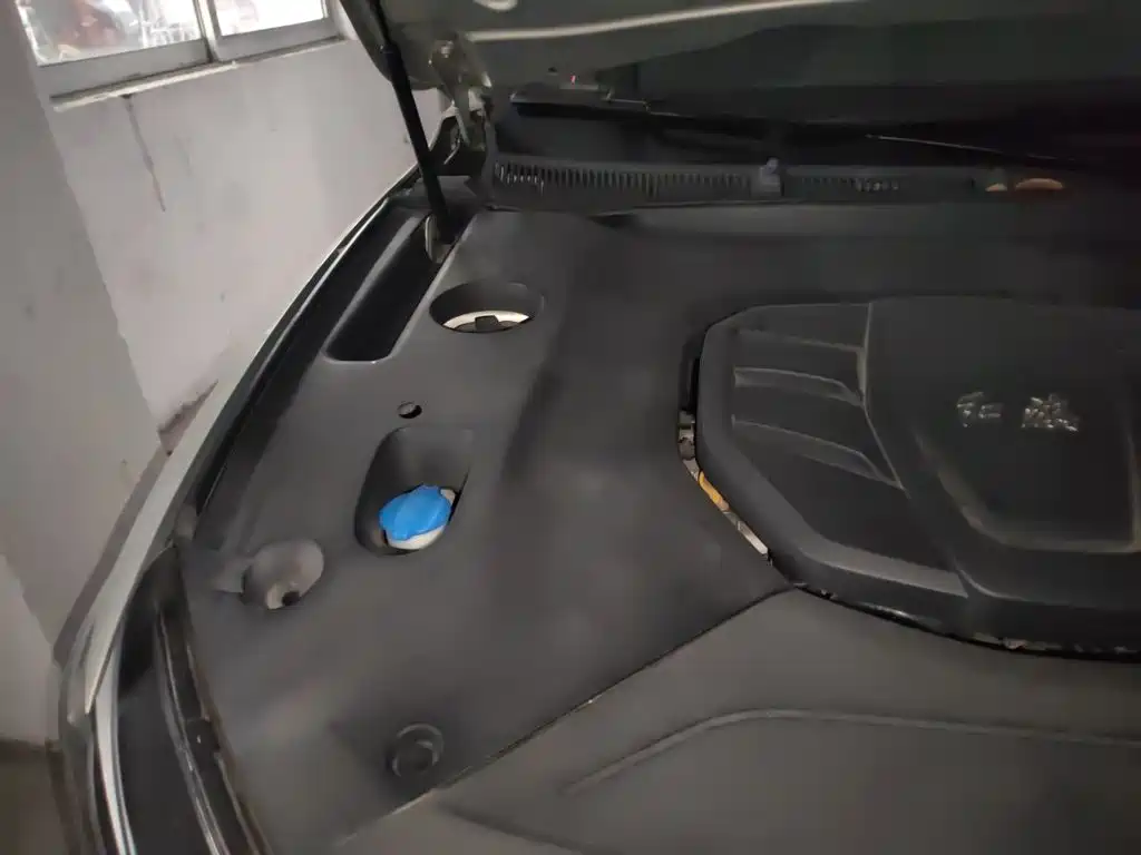 Hongqi HS5 2020 2019 2.0T Smart Connect Enjoy 4WD Edition