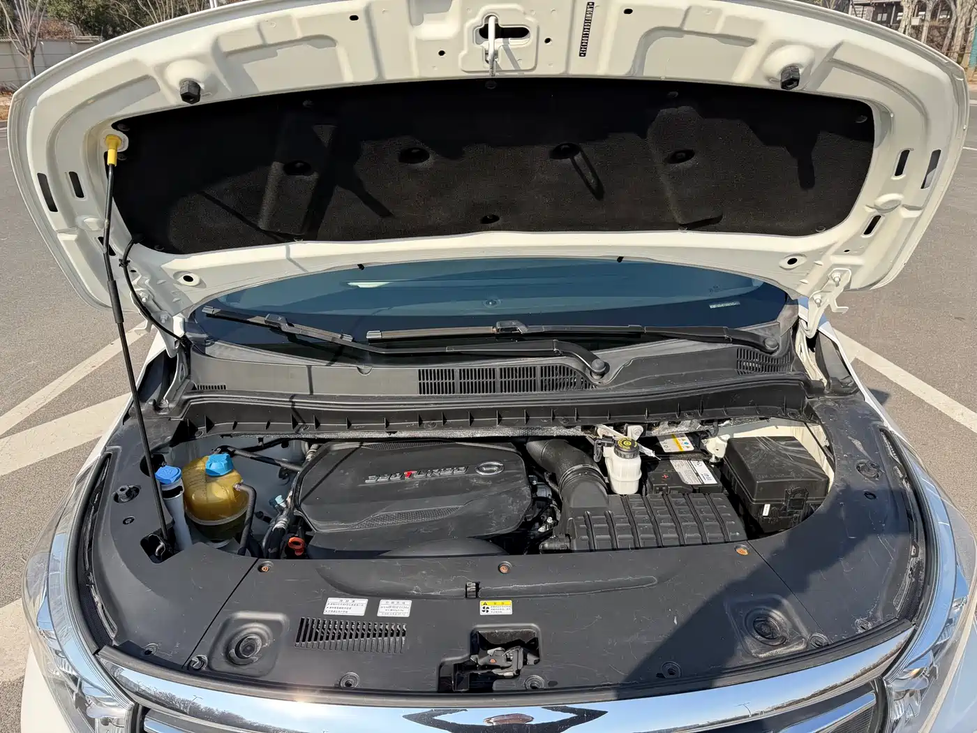 GAC Trumpchi Trumpchi M8 2020 Pilot 390T Prestige Edition фото 4