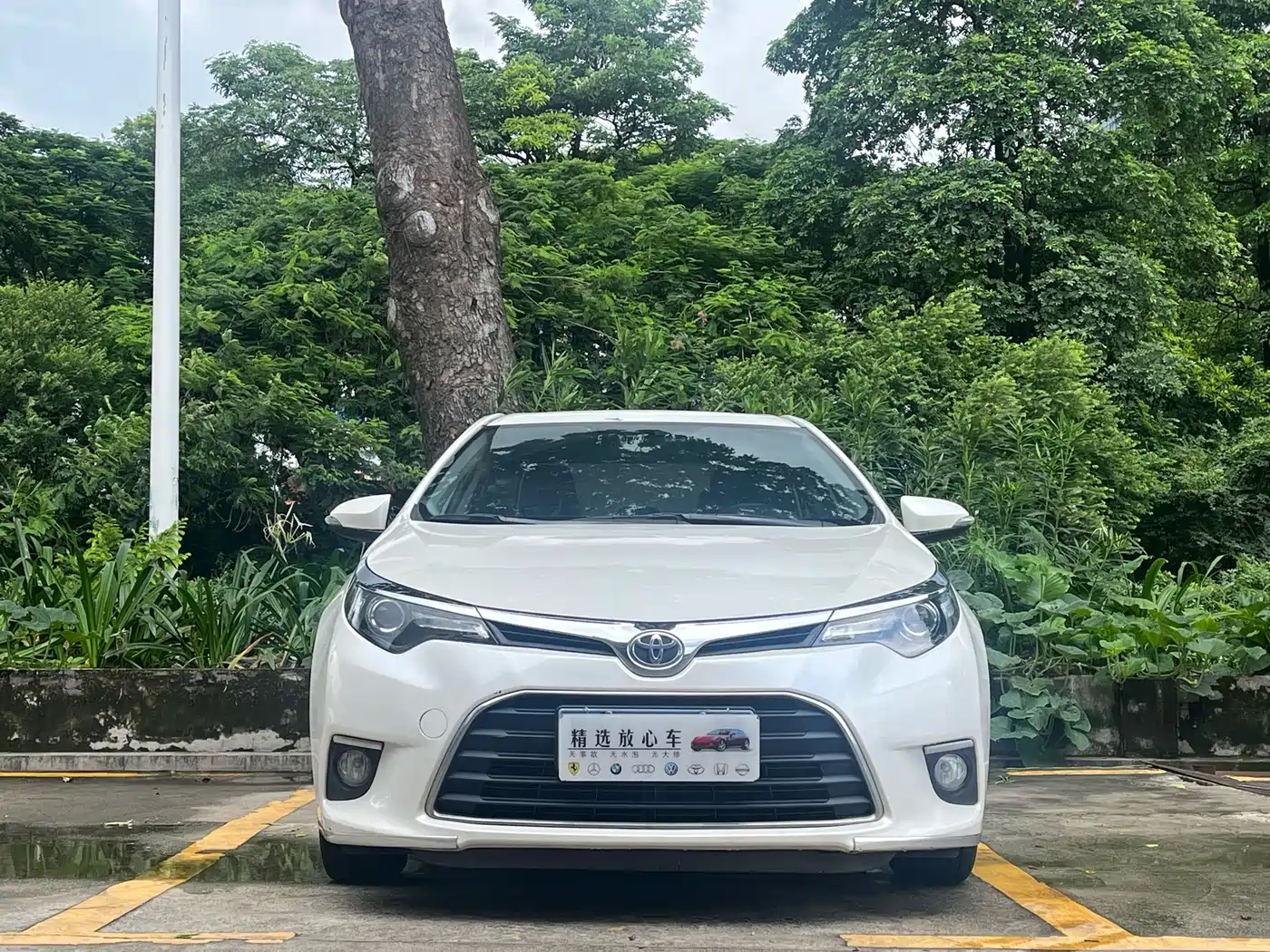 Фото 2 - Toyota Levin