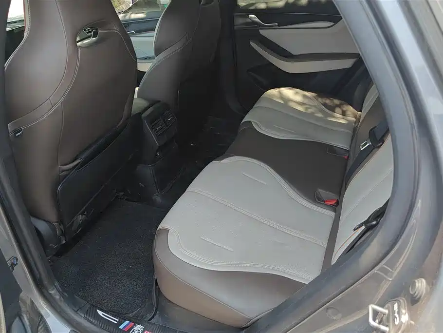 BYD Qin PLUS 2023 Champion Edition DM-i 120KM Excellence фото 11