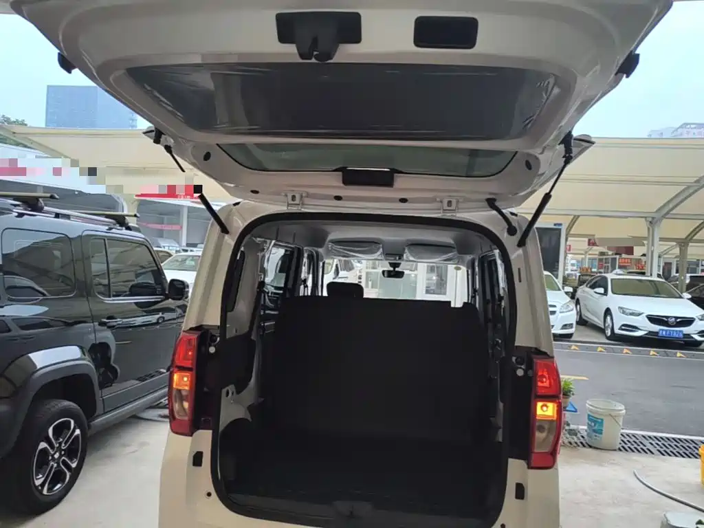 Wuling Motors Wuling Zhiguang NEV 2026 2025 Model 305km Base Version