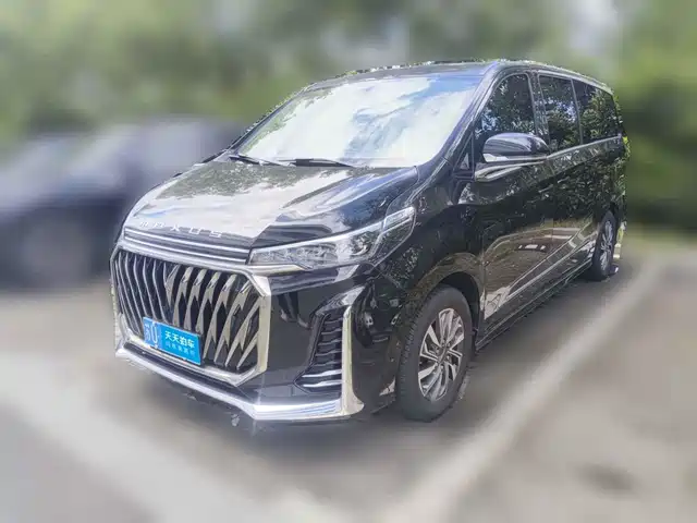 SAIC Maxus Maxus G20 2023 PLUS 2.0T Gasoline Automatic Luxury Edition — фото 1