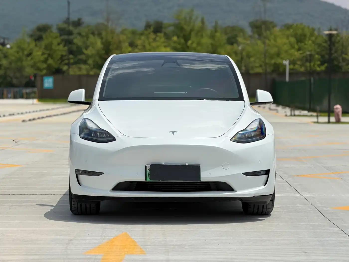 Tesla Model Y 2021 2021 Standard Range Rear-Wheel Drive