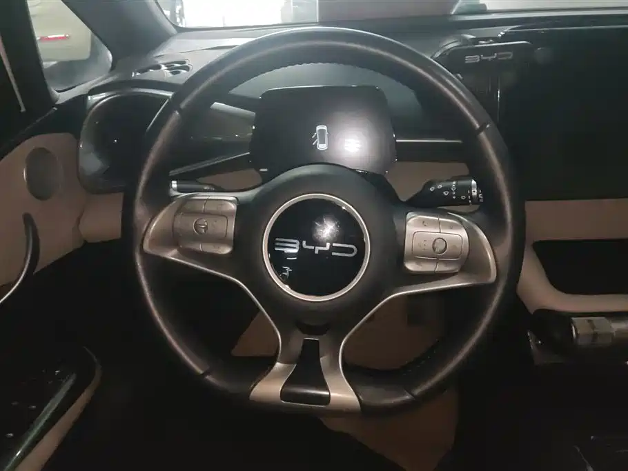 BYD Dolphin 2024 Glory Edition 420km Freedom Edition фото 15