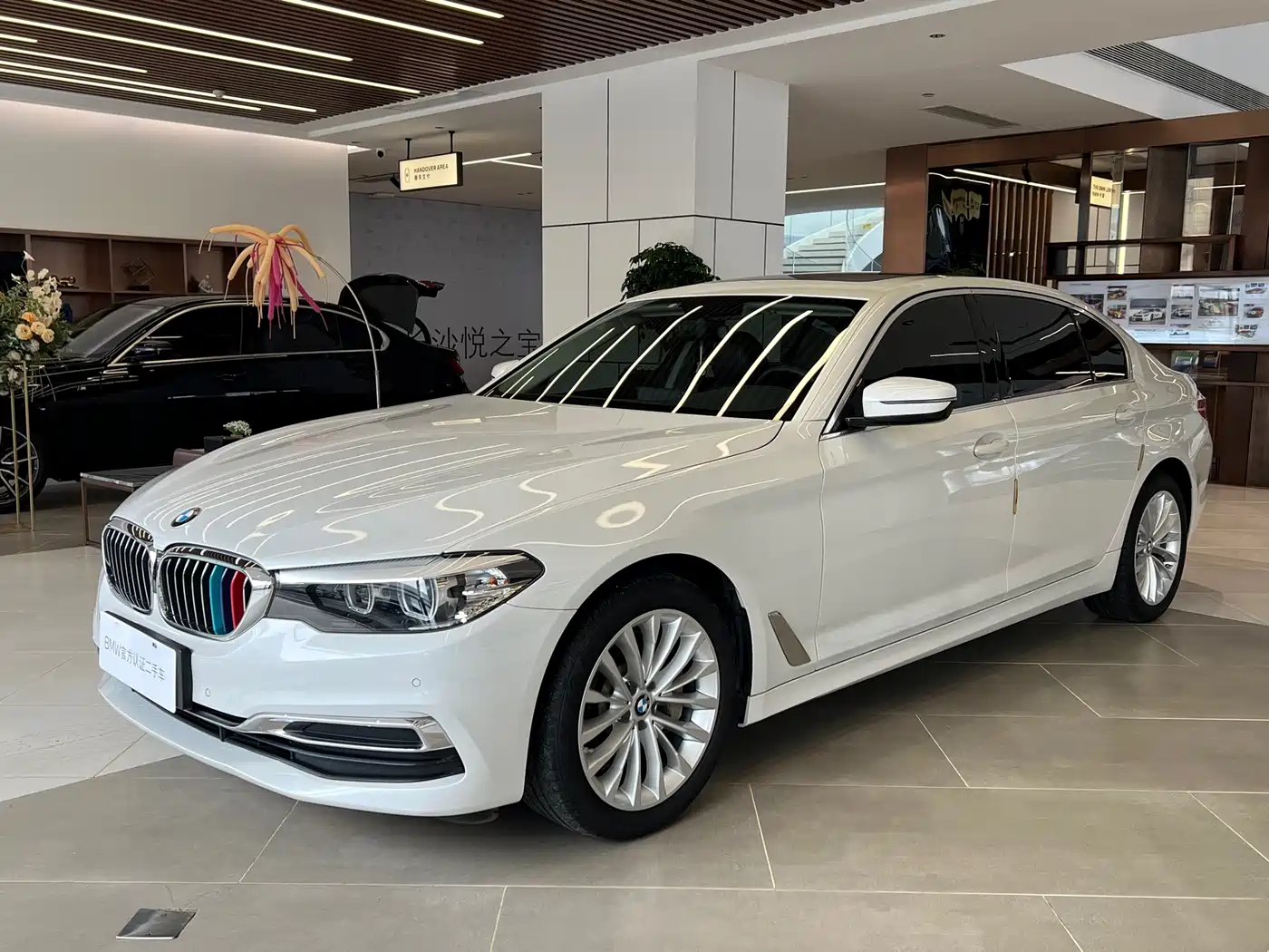 BMW 5 Series 2019 530Li Leading Luxury Package