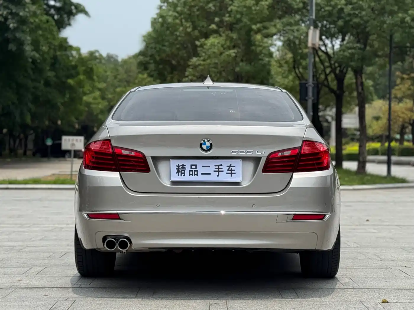 BMW 5 Series 2014 525Li Luxury Design Package фото 7