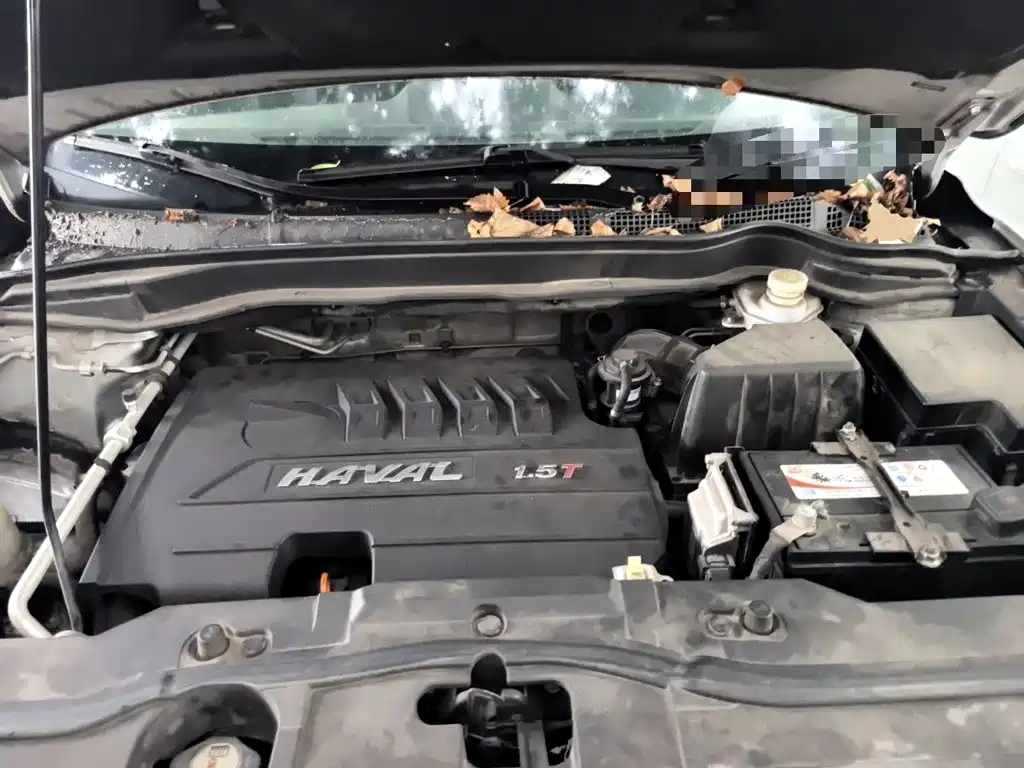 صورة 21 - Haval H6