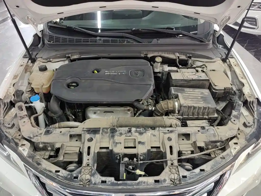 Changan Raeton CC 2018 2018 1.5T Auto Premium Class China V