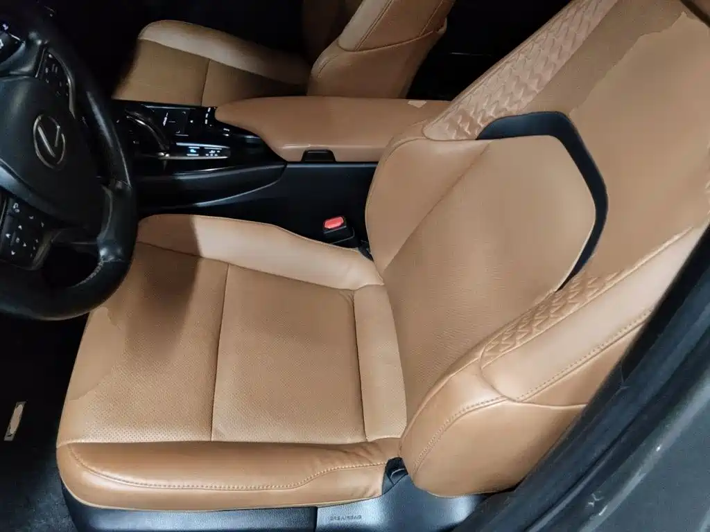 صورة 8 - Lexus UX Electric
