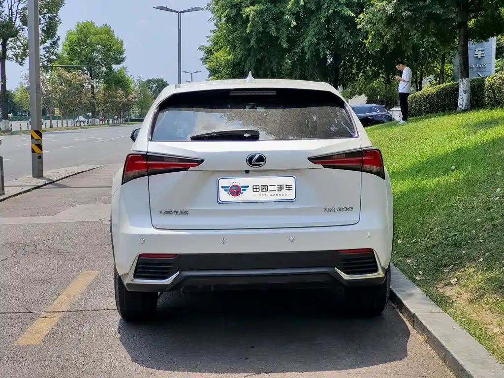 Фото 5 - Lexus NX