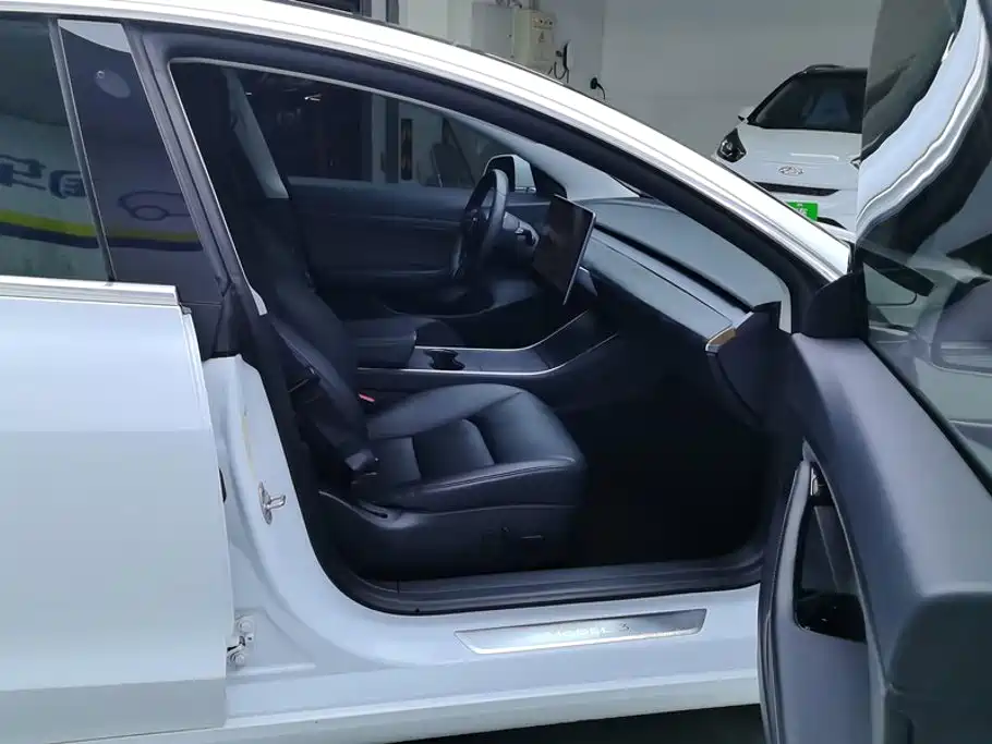 Tesla Model 3 2020 2020 Standard Range Rear-Wheel Drive Upgrade