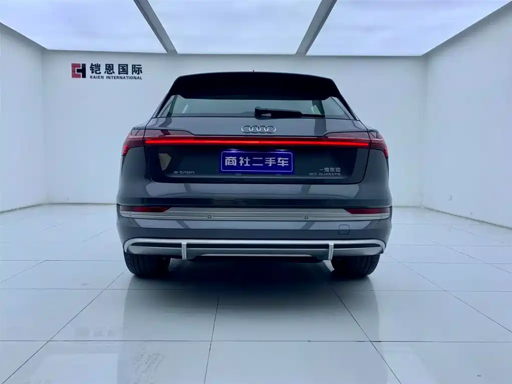 Audi e-tron 2021 50 quattro Luxury фото 4