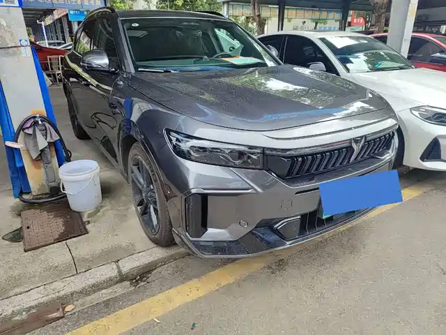 Voyah Auto VOYAH FREE 2024