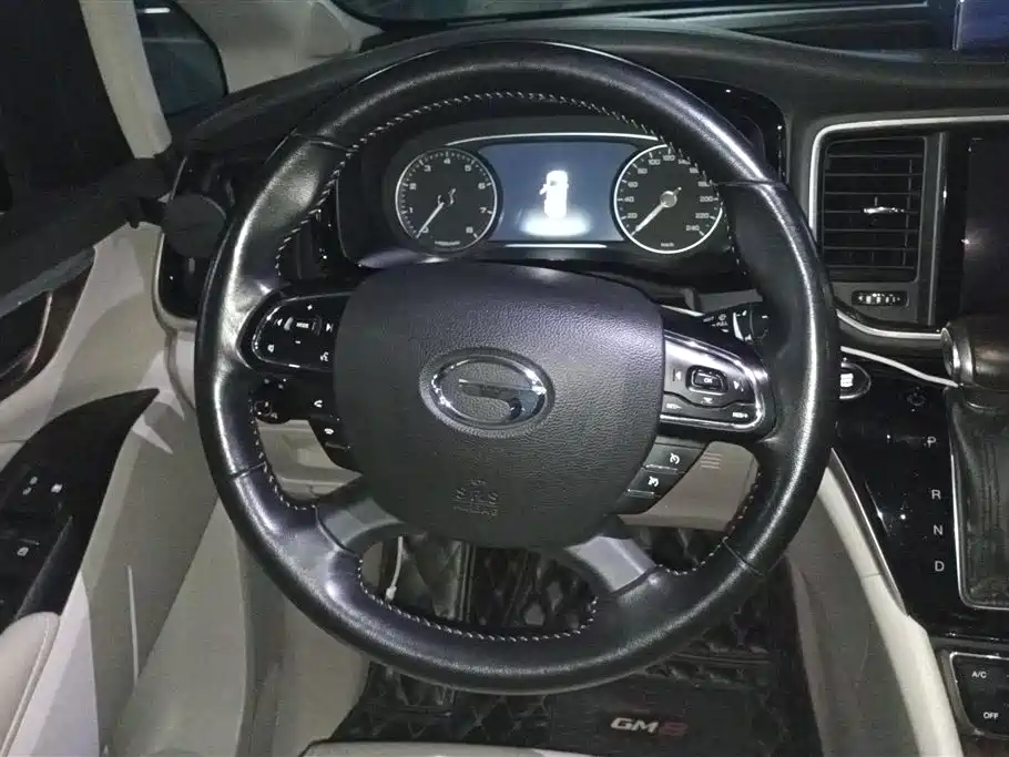GAC Trumpchi Trumpchi M8 2018 320T Premium Edition фото 15
