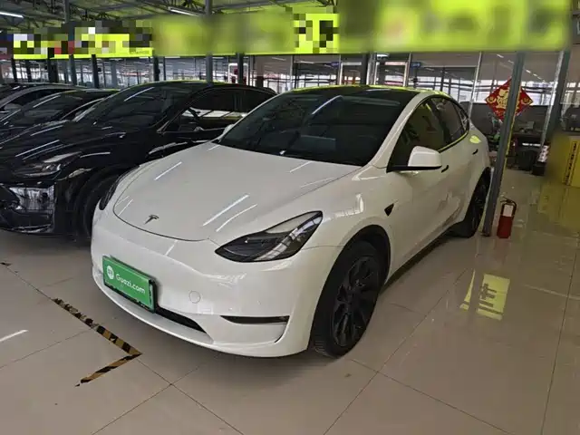Tesla Model Y 2021