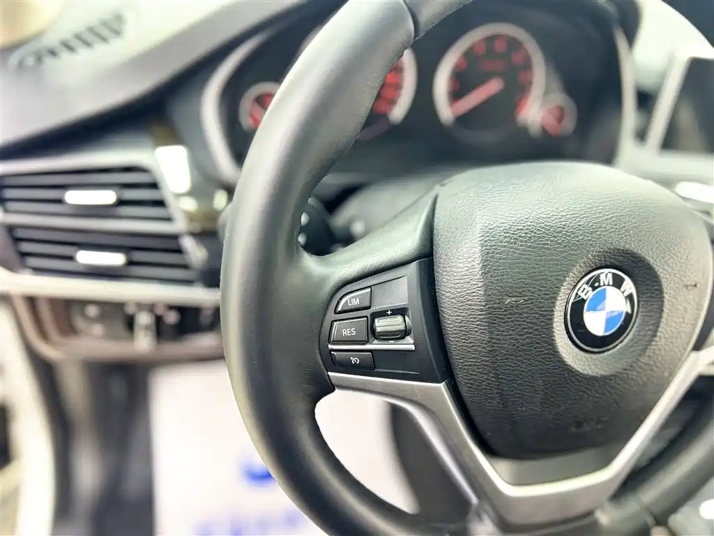 BMW X5 (Import) 2014 xDrive35i Leading фото 12