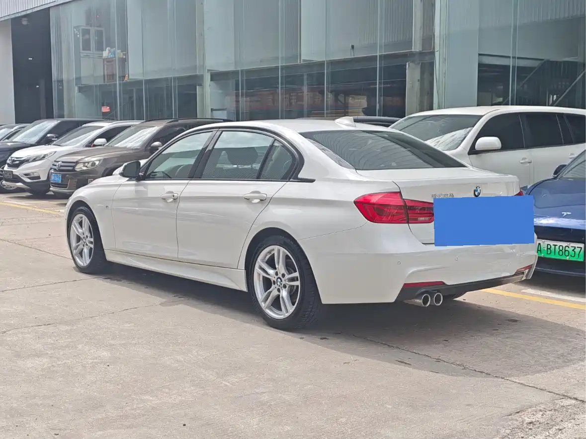 BMW 3 Series 2019 320Li M Sport Package фото 7