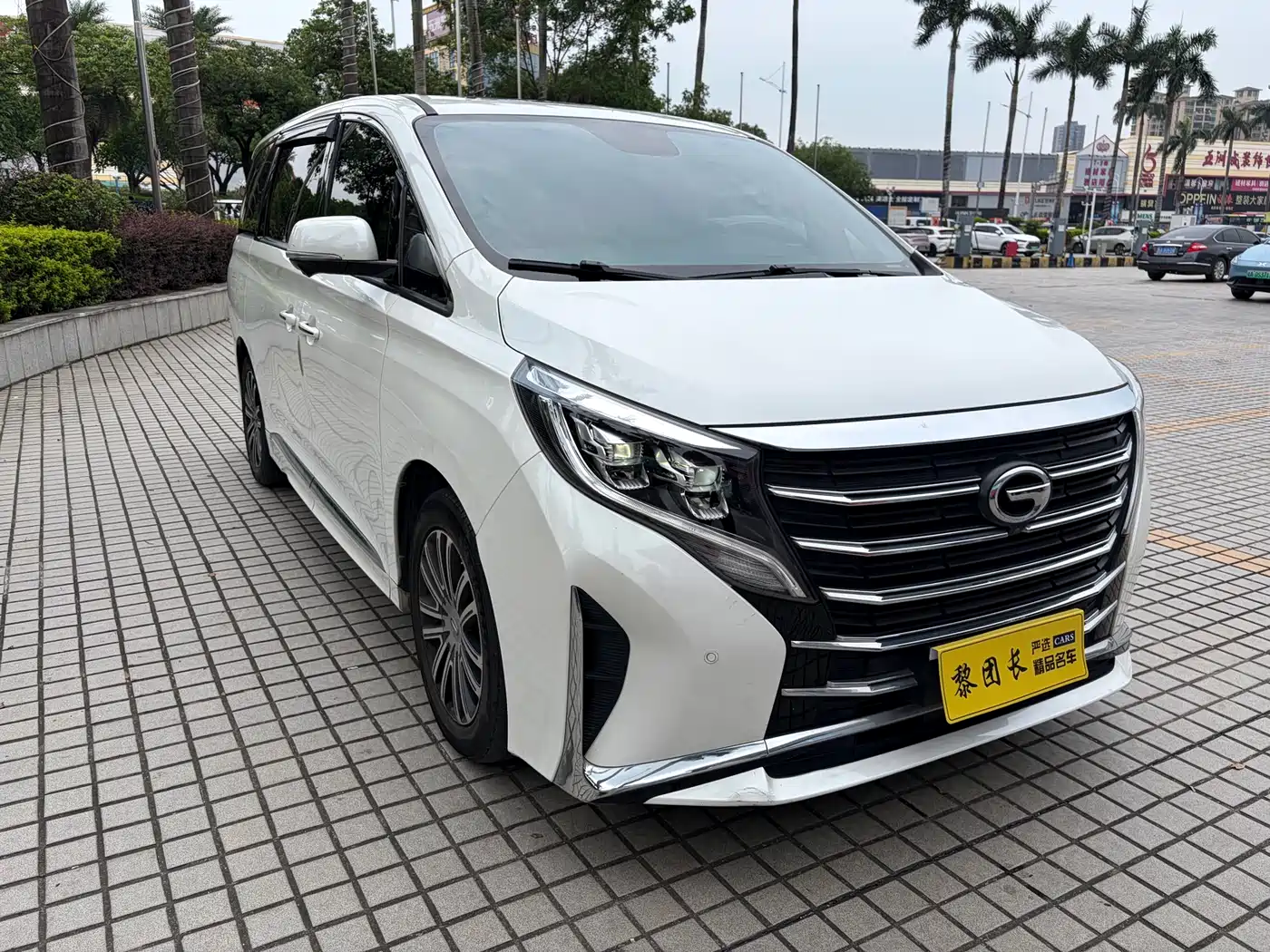 GAC Trumpchi Trumpchi M8 2021 Leading Show Series 390T Ultimate Edition фото 3
