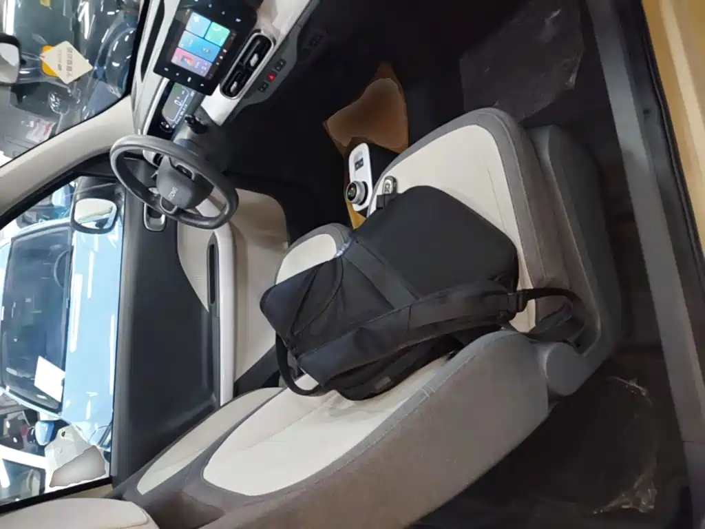 Geely Galaxy Panda 2025 2025 Panda mini 210km Vitality Bear