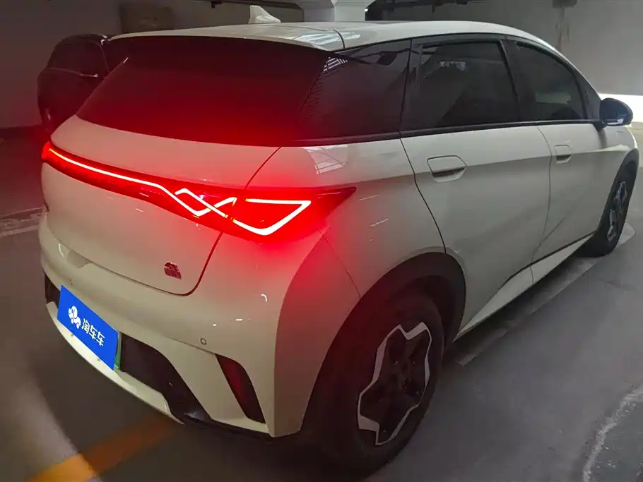 BYD Dolphin 2021 Model 405km Fashion Edition фото 3