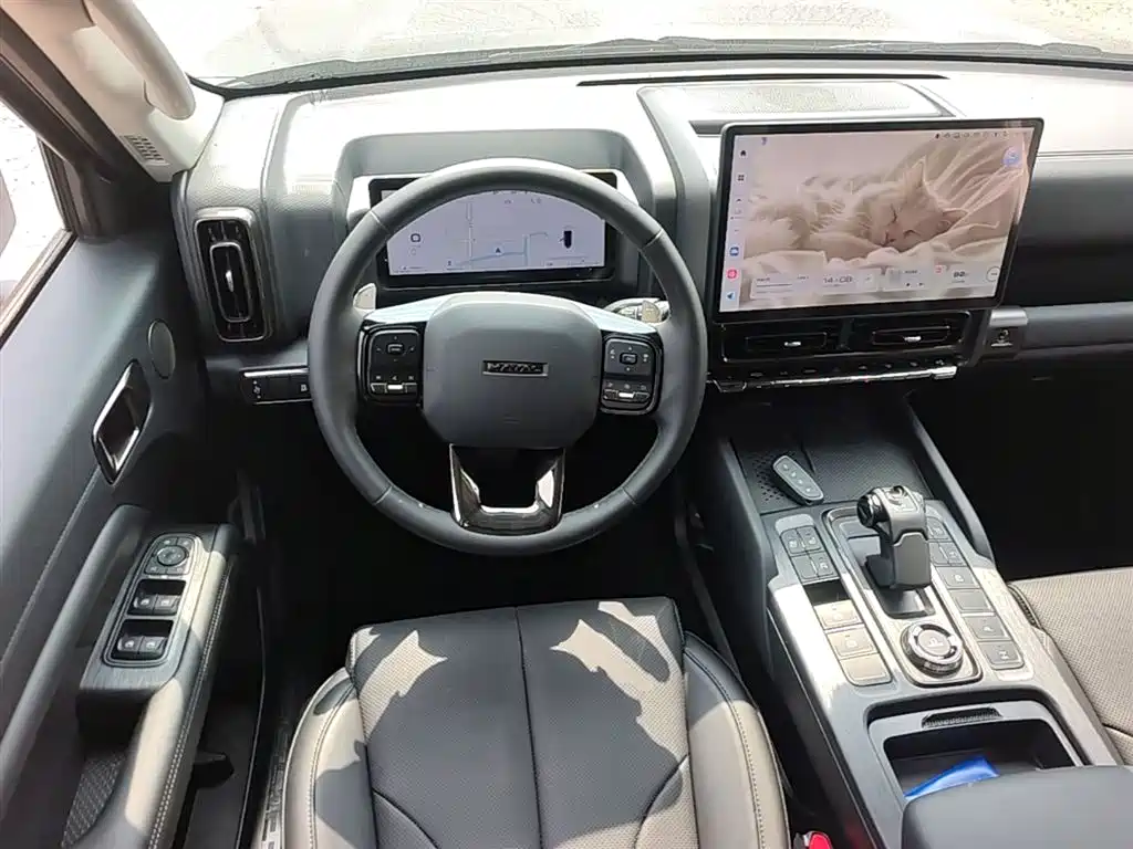 Haval H9 2024 2.0T Gasoline AWD Extreme Edition фото 11