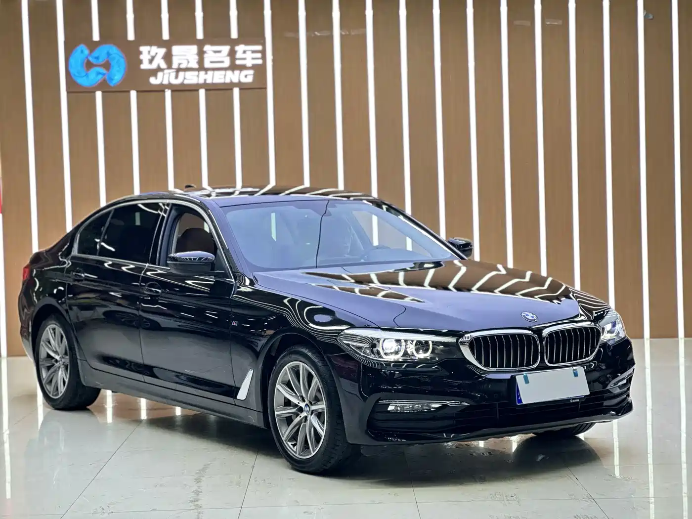 BMW 5 Series 2018 528Li Launch Special Edition фото 3