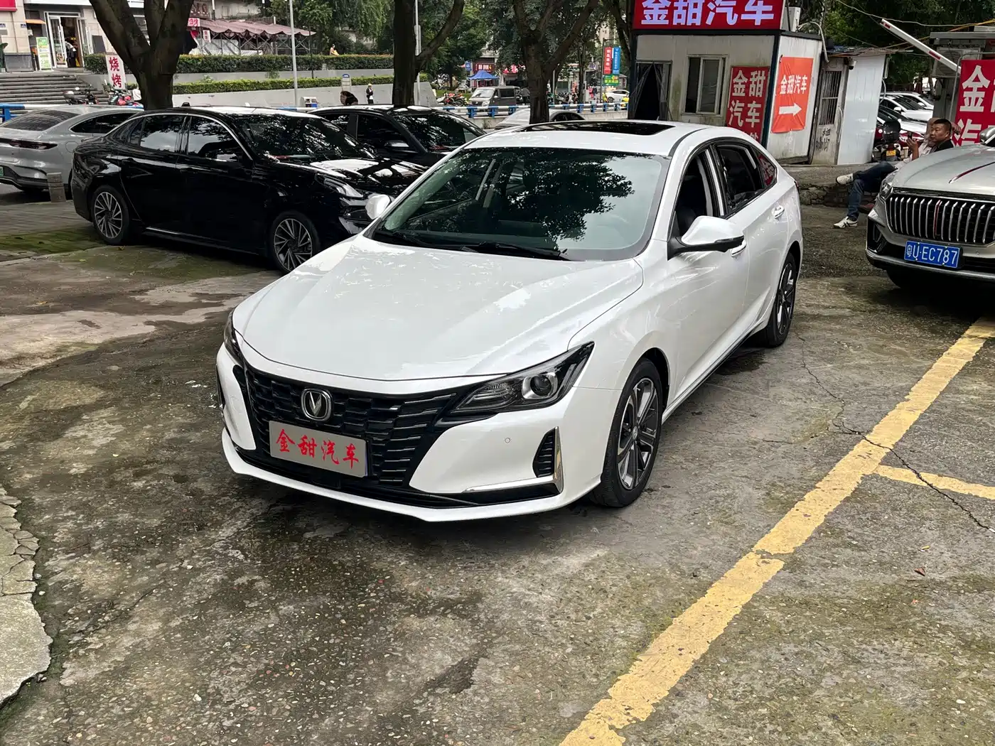 Changan Ruicheng CC 2022 2022 Blue Whale Edition 1.5T DCT Luxury