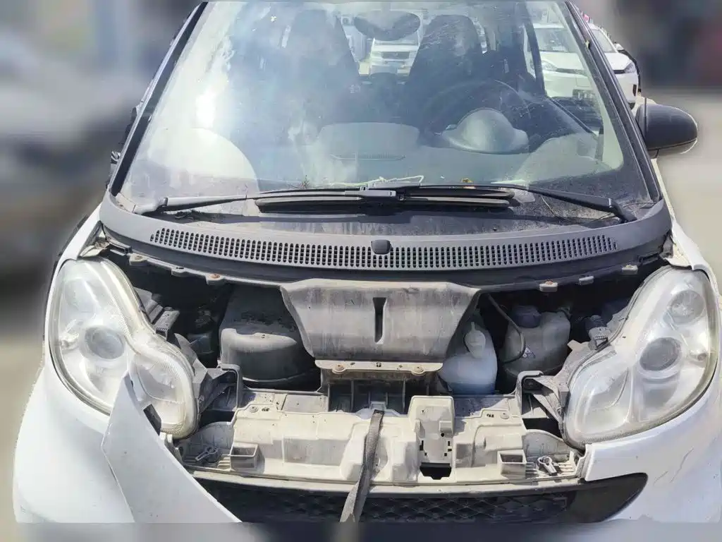 smart fortwo 2012 2011 1.0 MHD Hardtop Passion Edition