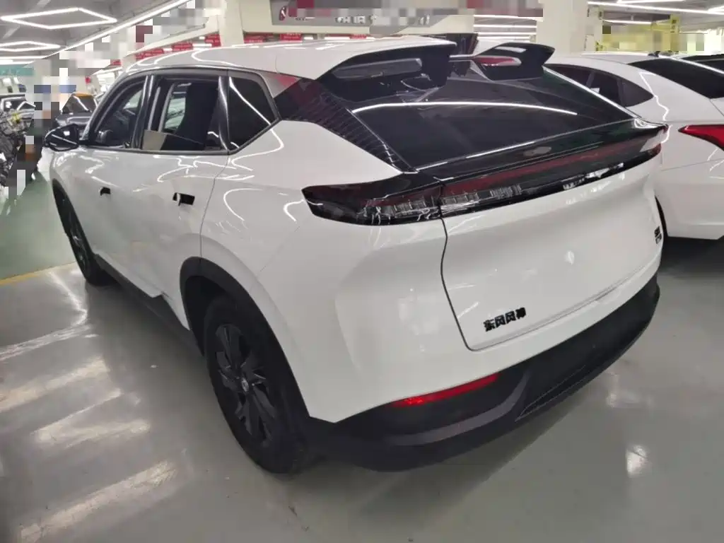 Dongfeng Aeolus SKY EV01 2024 2024 445km PRO