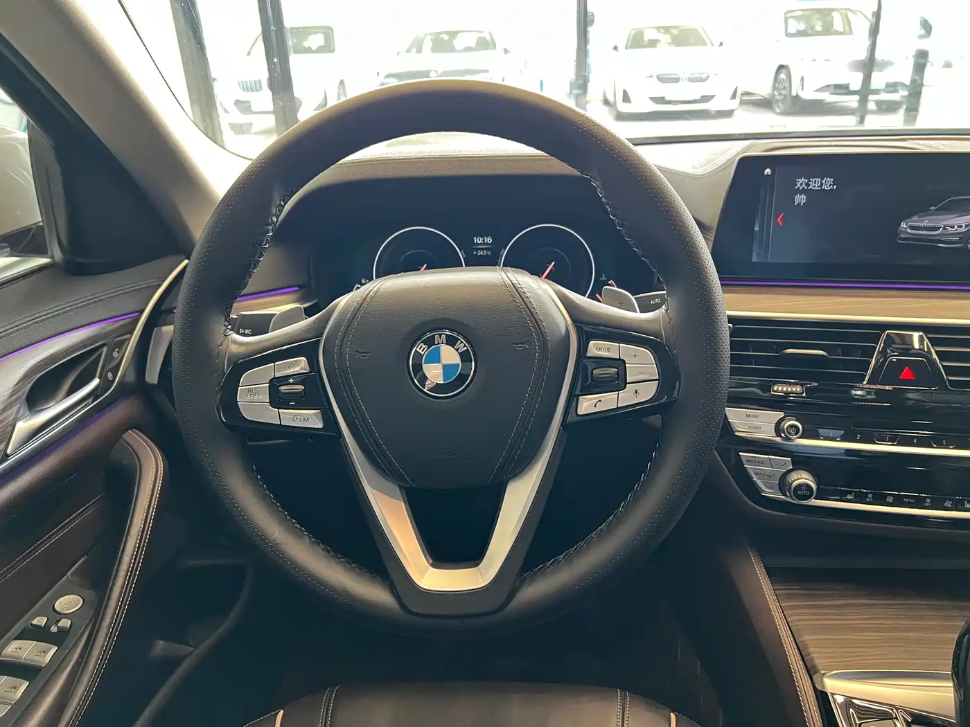 BMW 5 Series 2019 530Li Leading Luxury Package фото 11