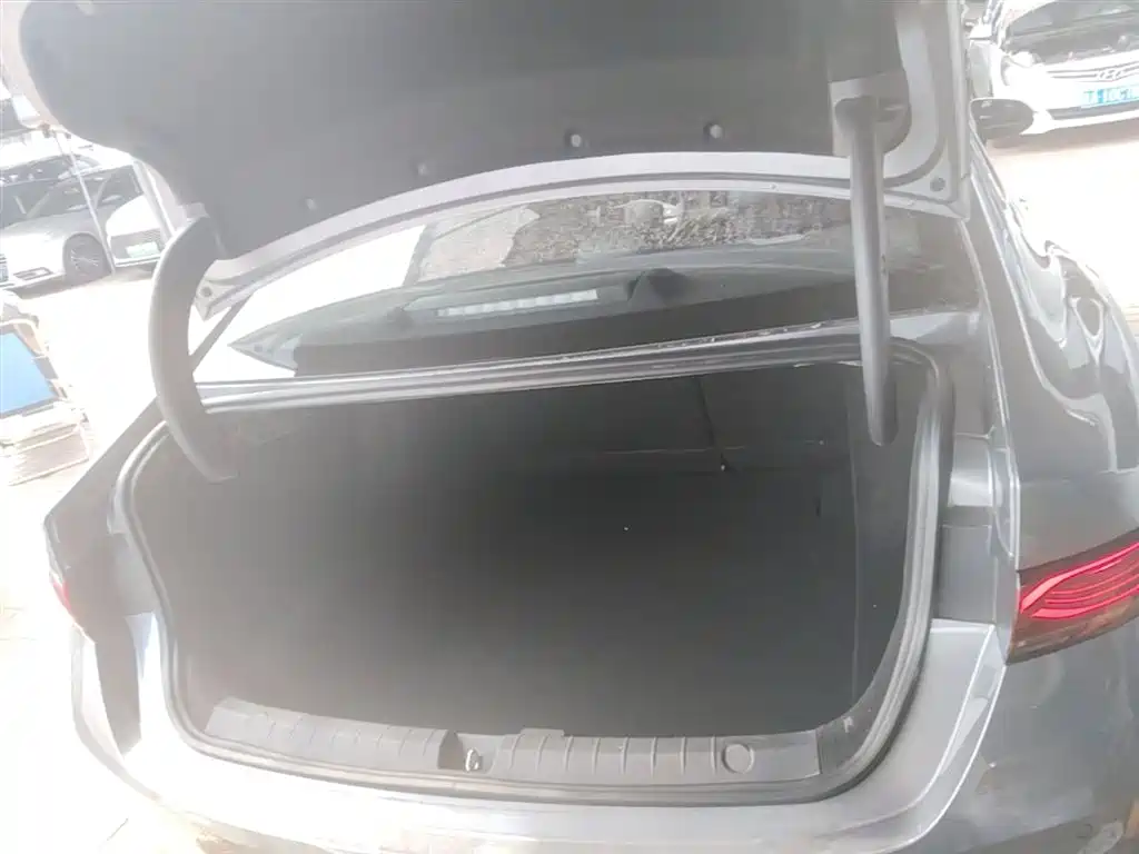 BYD Qin PLUS 2025 DM-i Smart Drive 55KM Leader фото 15