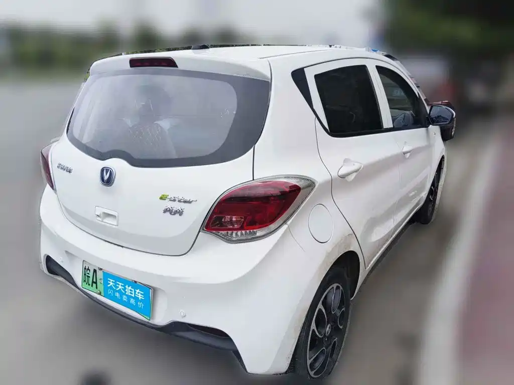 Changan Benben E-Star 2022 2022 National Edition Colorful Limited (Fast Charging) LFP