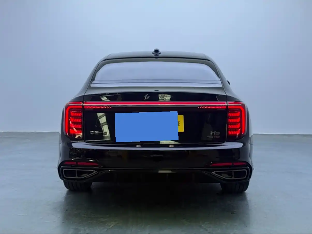 Hongqi H9 2024 2024 2.0T Qi Enjoy Private Fashion Edition