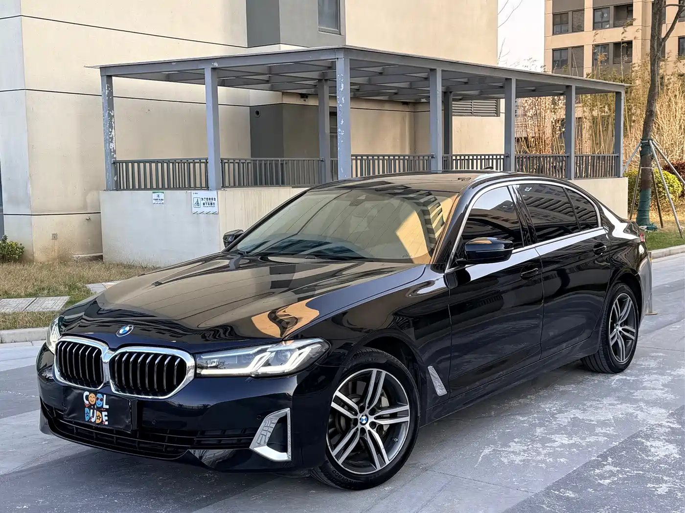 BMW 5 Series 2021 530Li Leading Luxury Package