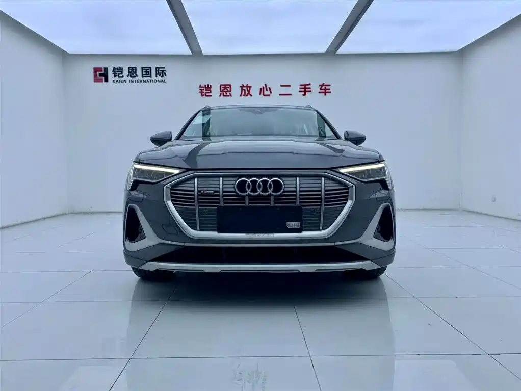 Audi e-tron 2021 50 quattro Luxury фото 2
