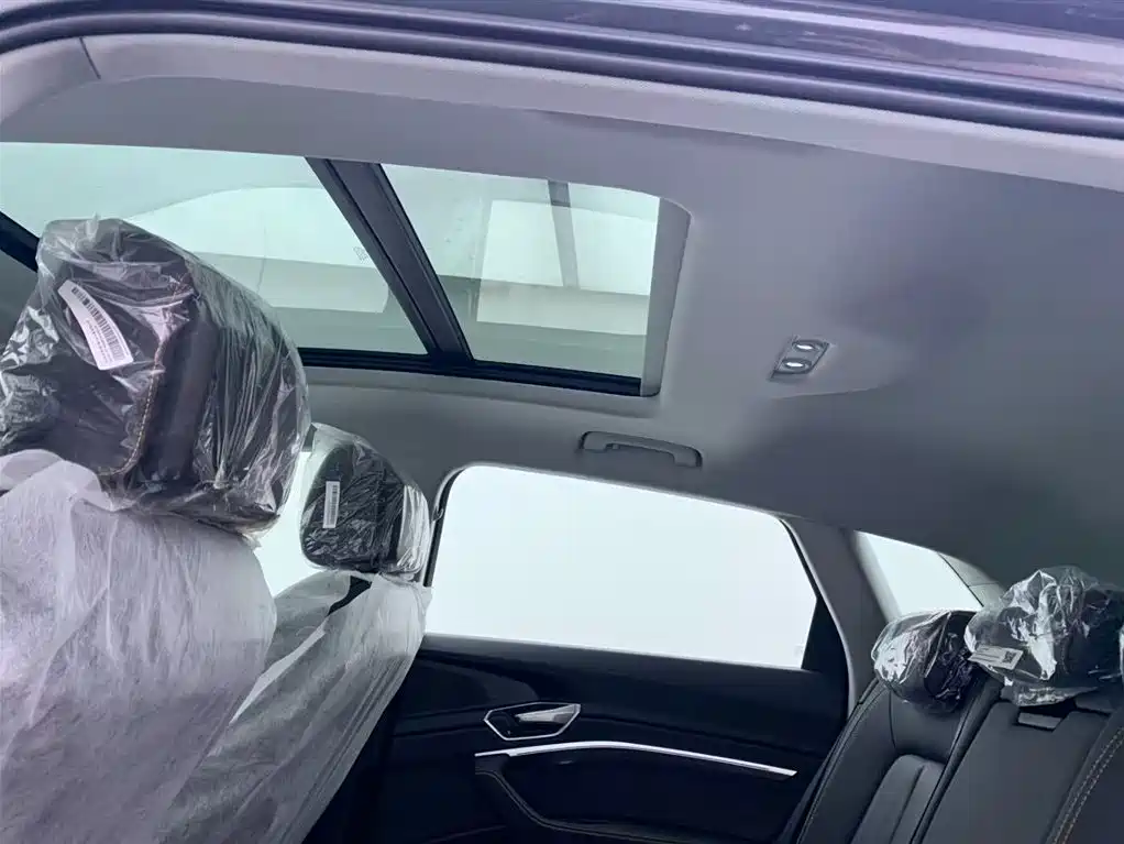 Audi e-tron 2021 50 quattro Luxury фото 24