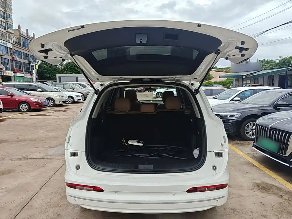 Landian E5 2024 2024 Glory Edition 100KM Premium Type 7-Seater