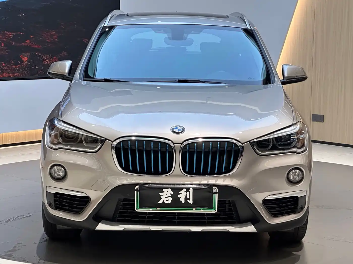 BMW X1 NEW ENERGY